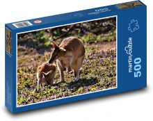 Klokan s mládětem v přírodě Puzzle 500 - 46x30 cm