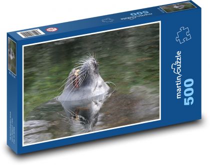Nos lwa morskiego wystający z wody - Puzzle 500 elementów, rozmiar 46x30 cm