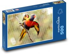 Barevný papoušek na větvi Puzzle 500 dílků - 46 x 30 cm