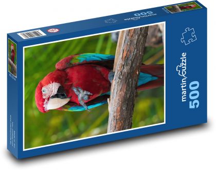 Scharlachroter Ara, exotischer Papagei - Puzzle - 500 Teile
