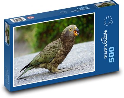 Kea, horský papoušek - puzzle 500 dílků