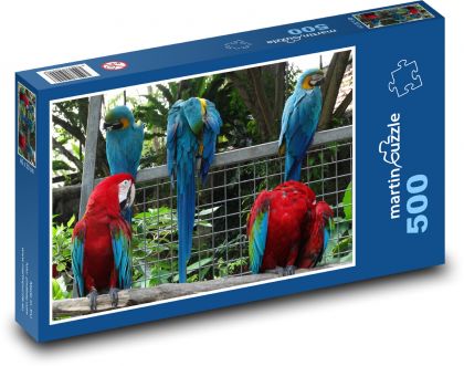 Papoušek - Puzzle 500 dílků, rozměr 46x30 cm