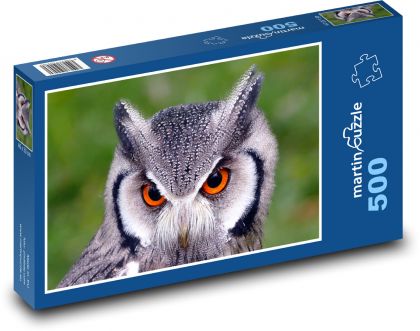 Eule mit orangefarbenen Augen - Puzzle - 500 Teile