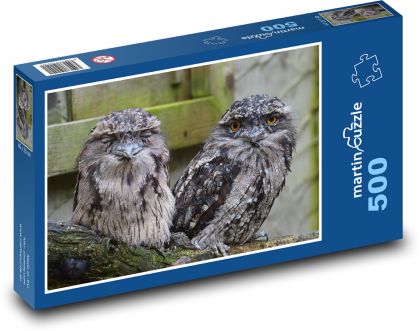 Grey owls sitting on a branch - Puzzle of 500 pieces, size 46x30 cm 