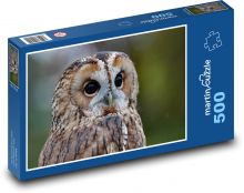 Owl Puzzle of 500 pieces - 46 x 30 cm