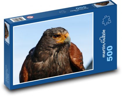 Orel skalní, portrét dravce - puzzle 500 dílků