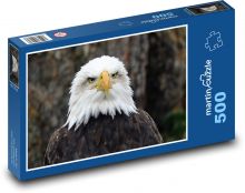 Orol bielohlavý, dravý vták Puzzle 500 dielikov - 46 x 30 cm