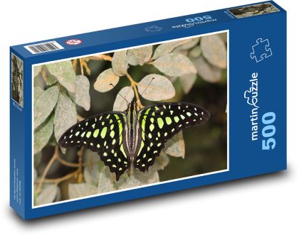 Motýľ so zelenými škvrnami na krídlach - Puzzle 500 dielikov, rozmer 46x30 cm 