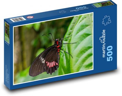 Butterfly - Puzzle of 500 pieces, size 46x30 cm 