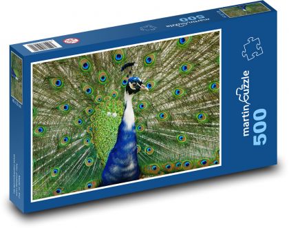 Pfau mit Spreizfedern - Puzzle - 500 Teile