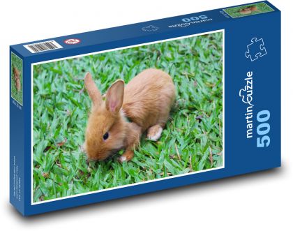 Little rabbit in the grass - Puzzle of 500 pieces, size 46x30 cm 