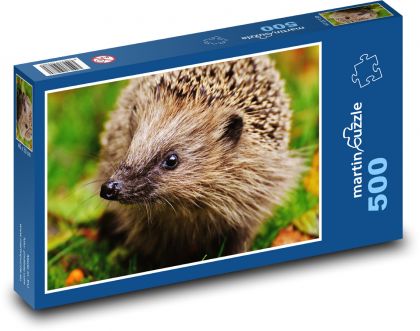 Cute hedgehog with a black muzzle - Puzzle of 500 pieces, size 46x30 cm 