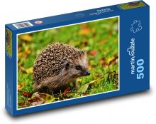 Jeżyk Puzzle 500 elementów - 46x30 cm