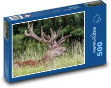 Deer Puzzle of 500 pieces - 46 x 30 cm 