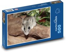 Mouse Puzzle of 500 pieces - 46 x 30 cm