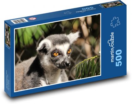 Lemur z pomarańczowymi oczami - Puzzle 500 elementów, rozmiar 46x30 cm