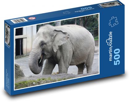 Elephant in enclosure - Puzzle of 500 pieces, size 46x30 cm 