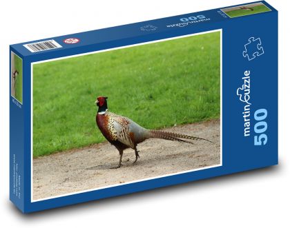 Pheasant - Puzzle of 500 pieces, size 46x30 cm 