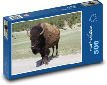 Bawół w parku narodowym Puzzle 500 elementów - 46x30 cm