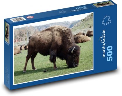 Bison in einem Wildschutzgebiet in Amerika - Puzzle - 500 Teile