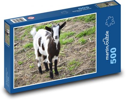 Spotted goat in pasture - Puzzle of 500 pieces, size 46x30 cm 