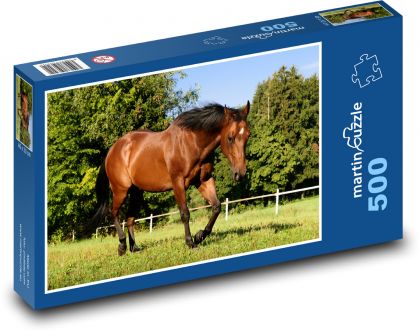 Kůň - Puzzle 500 dílků, rozměr 46x30 cm