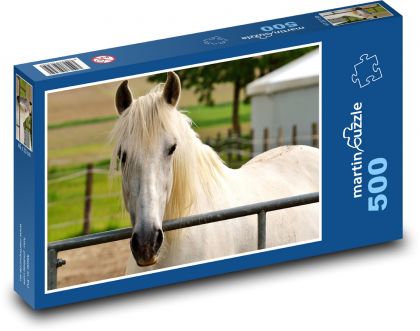 Bílý kůň v ohradě - puzzle 500 dílků