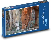Hnědý a bílý kůň pasoucí se na zamrzlé trávě Puzzle 500 - 46x30 cm