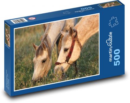 Horses grazing on grass - Puzzle of 500 pieces, size 46x30 cm 