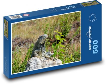 Iguana resting on a stone - Puzzle of 500 pieces, size 46x30 cm 