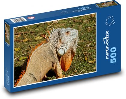 Leguán s obrovským hrdelním lalokem - Puzzle 500 dílků, rozměr 46x30 cm