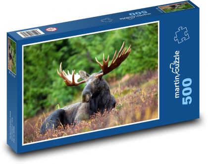 Los ležiaci na mýtine v tráve - Puzzle 500 dielikov, rozmer 46x30 cm 