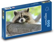 Mýval ležící na větvi Puzzle 500 - 46x30 cm