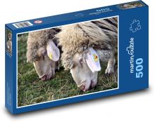 Grasweidende Schafe Puzzle 500 Teile - 46 x 30 cm