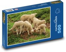 Malá jehňata na pastvě Puzzle 500 dílků - 46 x 30 cm