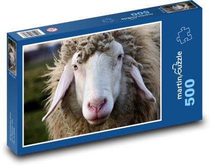 Owce z długimi uszami - Puzzle 500 elementów, rozmiar 46x30 cm