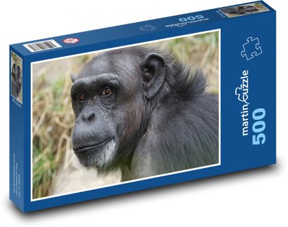 Šimpanz - Puzzle 500 dielikov, rozmer 46x30 cm 