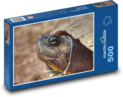 Schildkrötenkopf - Puzzle - 500 Teile