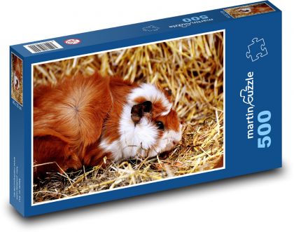Świnka morska - Puzzle 500 elementów, rozmiar 46x30 cm