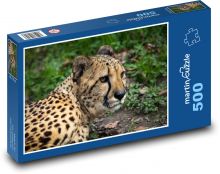 Leopard v lese Puzzle 500 - 46x30 cm