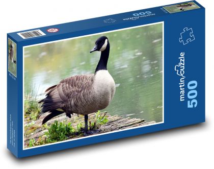 Hus pri rybníku - Puzzle 500 dielikov, rozmer 46x30 cm 