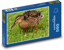 Kachna divoká v trávě Puzzle 500 dílků - 46 x 30 cm