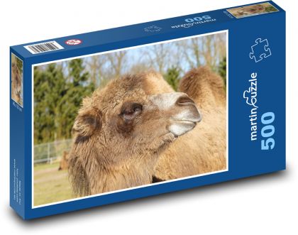 Ein Kamel im Zoo - Puzzle - 500 Teile