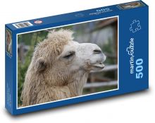 Moudrý velbloud Puzzle 500 - 46x30 cm