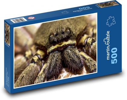 Spinne mit schwarzen Augen - Puzzle - 500 Teile