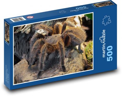 Pavouk - Puzzle 500 dílků, rozměr 46x30 cm