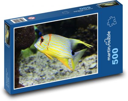 Sea Angel - Yellow Fish - Puzzle of 500 pieces, size 46x30 cm 