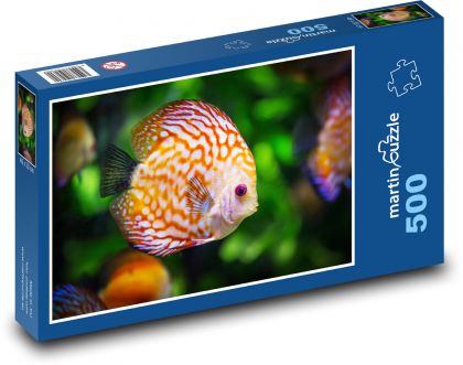 Bunte Aquarienfische - Ziel - Puzzle - 500 Teile
