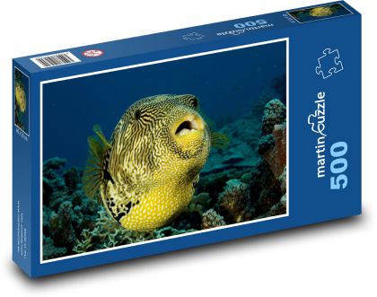 Ryby - Puzzle 500 dielikov, rozmer 46x30 cm 
