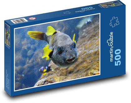 Ryba - Puzzle 500 dílků, rozměr 46x30 cm